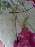 Colar resina 1.0